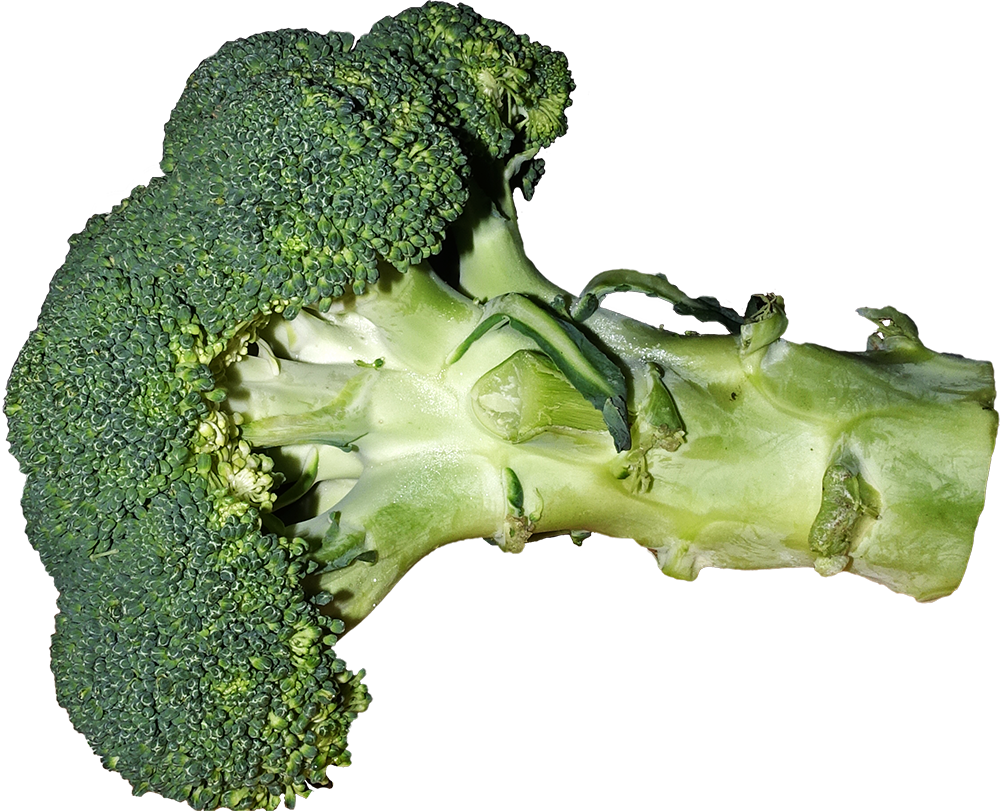 Broccoli, Broccoli png, Broccoli png image, transparent Broccoli png image, Broccoli png full hd images download
